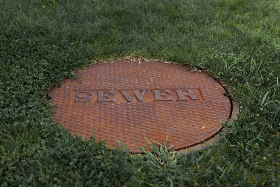 Sewage cleanup: how to handle it safely and effectively