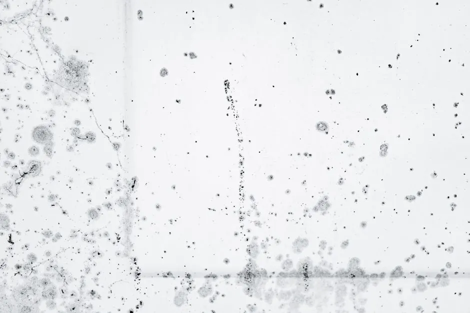 Signs you need professional mold remediation in Marietta